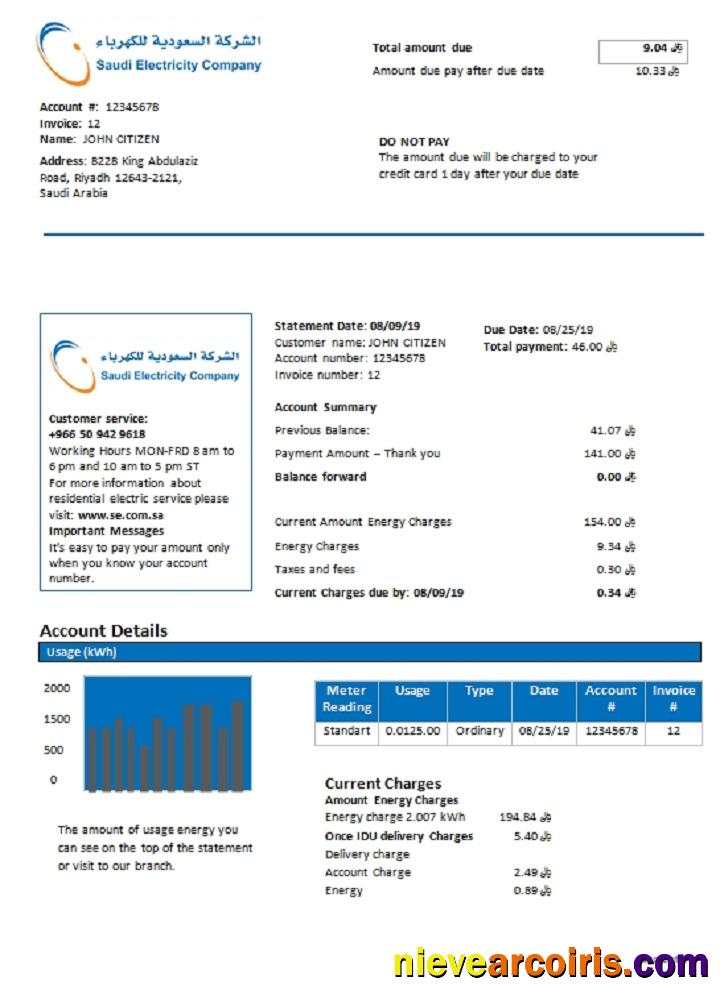 Saudi Arabia Saudi Electricity Company electri